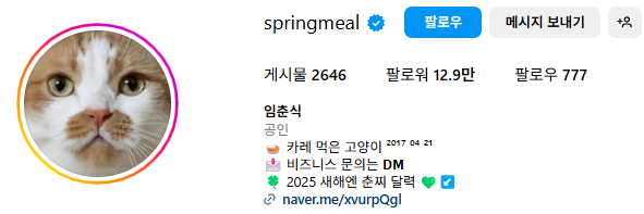 고양이 인플루언서, 일명 냥플루언서 모음!