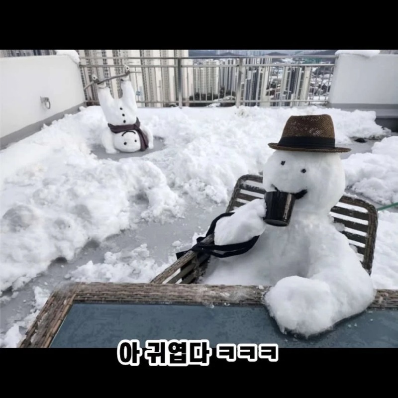 참신한 눈사람
