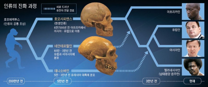 인간의 욕심으로 만들어진 이종 교배종 (1)