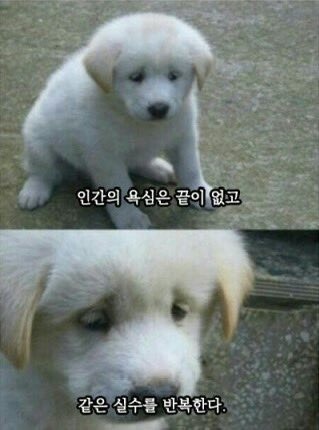 인간의 욕심으로 만들어진 이종 교배종 (1)