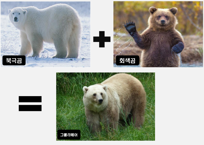 인간의 욕심으로 만들어진 이종 교배종 (1)