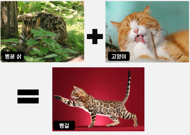 인간의 욕심으로 만들어진 이종 교배종 (1)