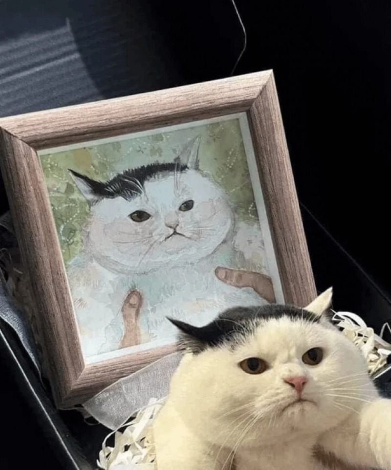 고양이 초상화를 주문한 집사