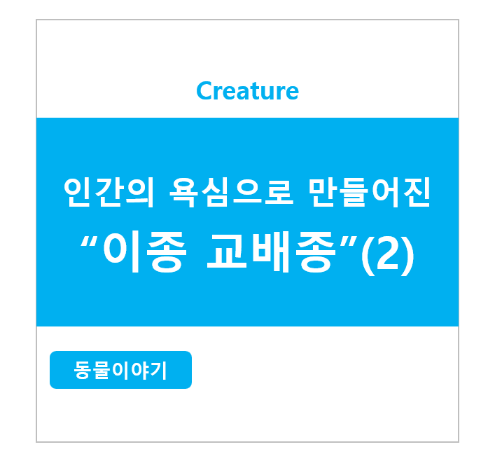 인간의 욕심으로 만들어진 이종 교배종 (2)