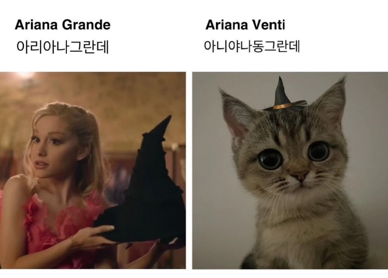 아리아나 그란데, 아니야 나 동그란데 