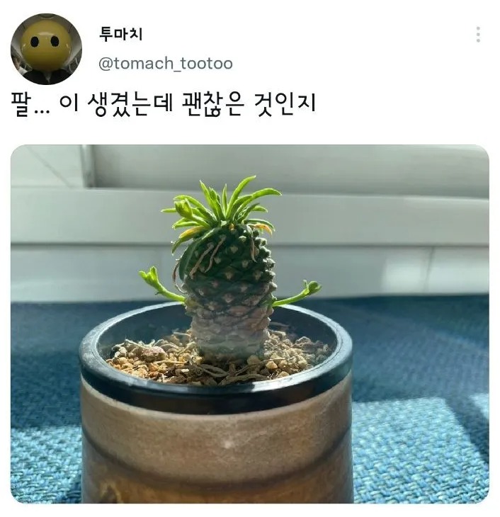 아..아이엠..그루트..