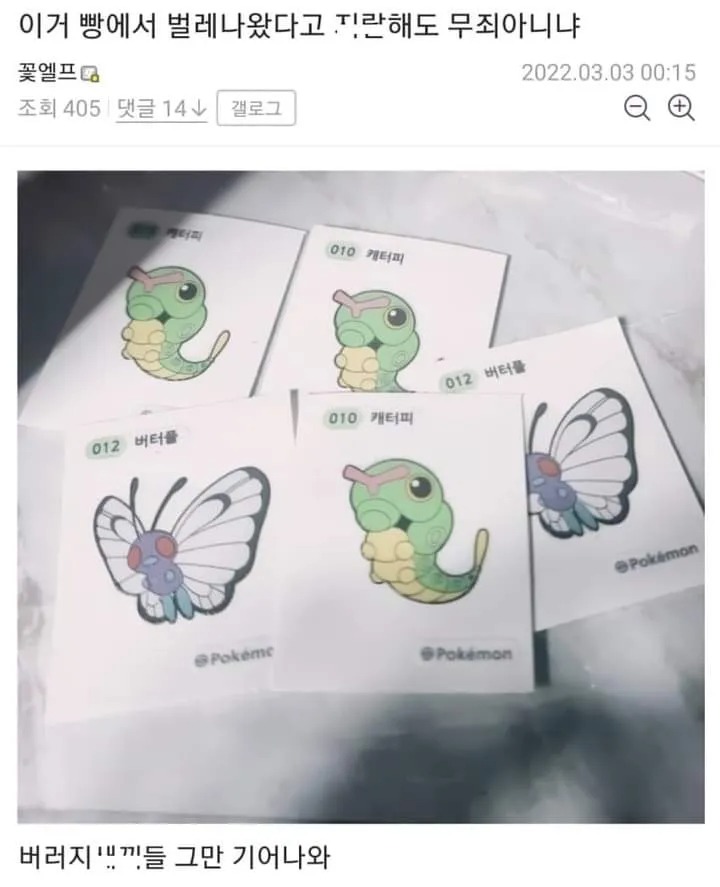 헉 포켓몬 빵에서 벌레...가...