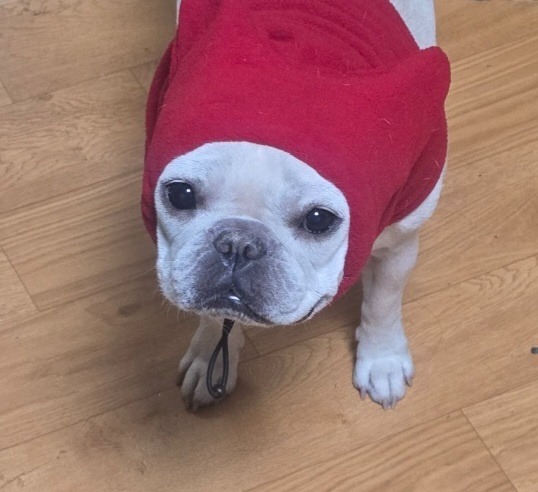 거북목 찐빵 