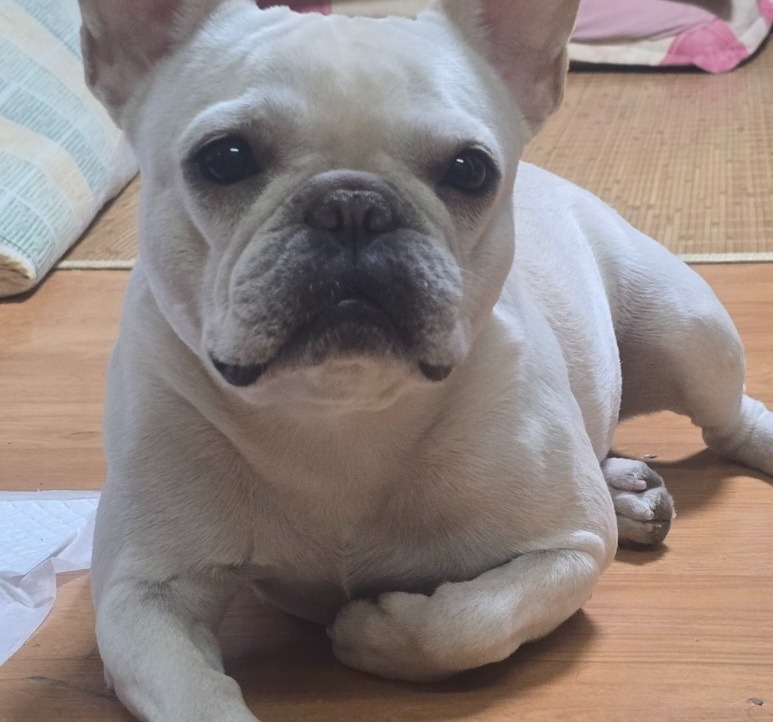 거북목 찐빵 