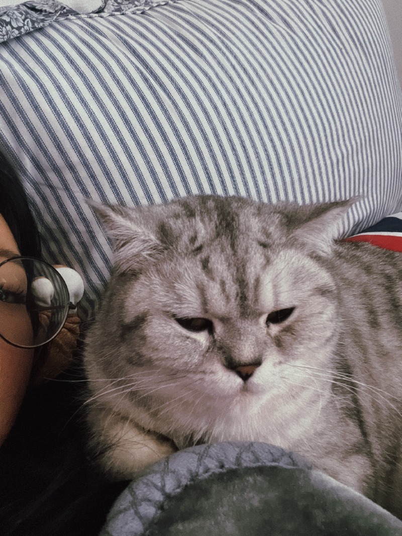 월요팅~