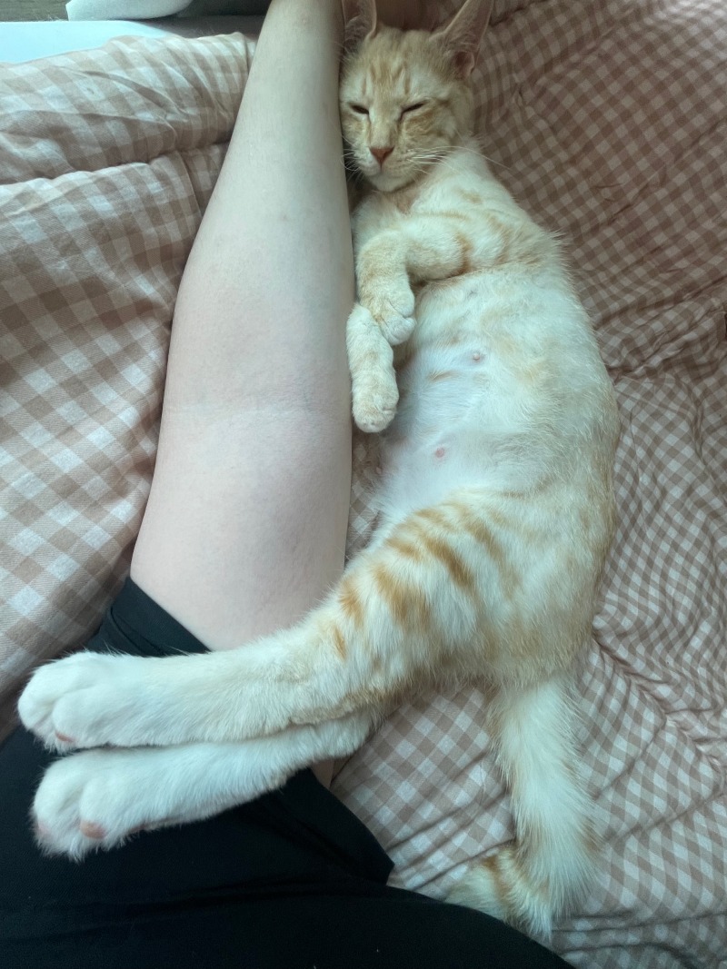 모카 엄마