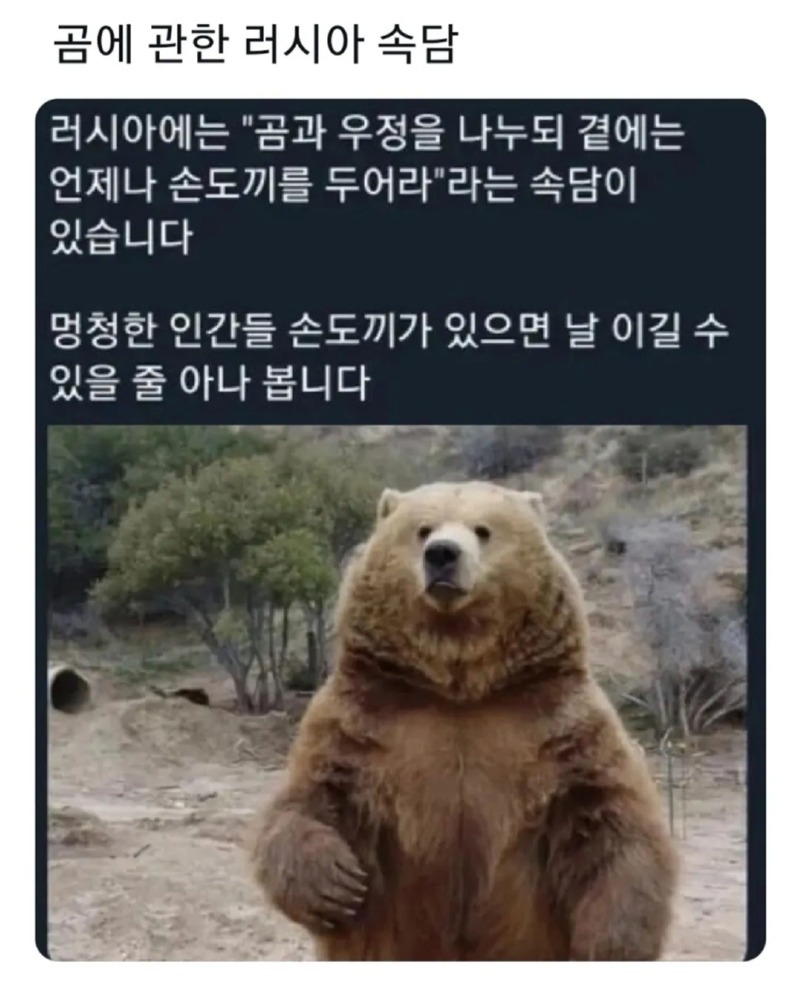 곰에 관한 러시아 속담