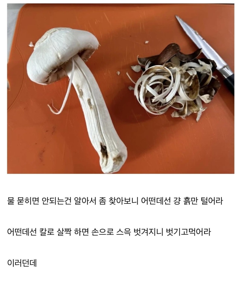 송이버섯을 잔인하게 죽인 사람.... 