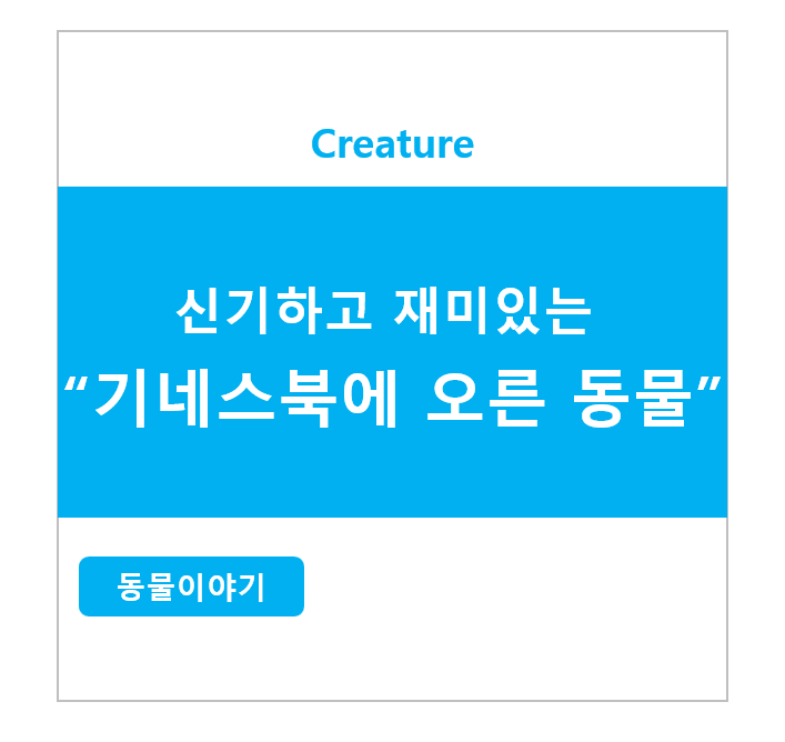 신기하고 재미있는 기네스북에 오른 동물