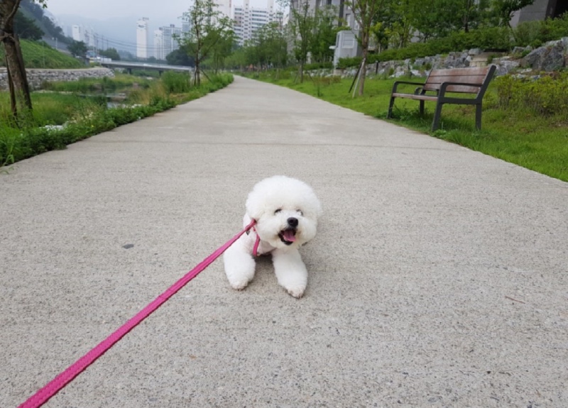 힘들어 😨