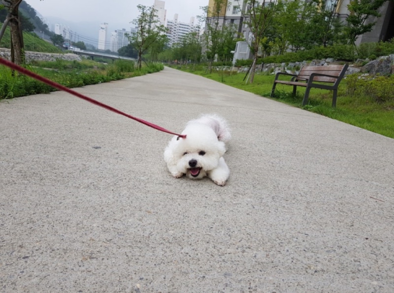 힘들어 😨