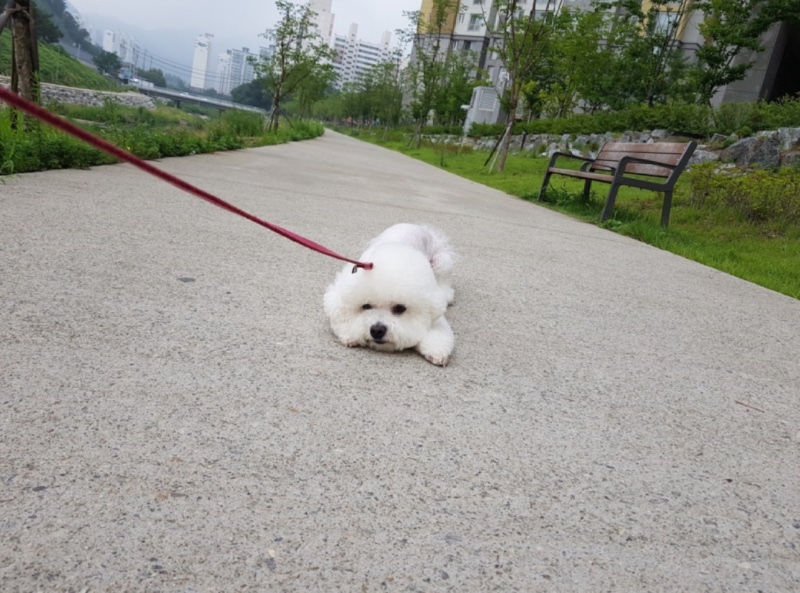 힘들어 😨