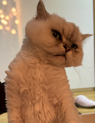 나나