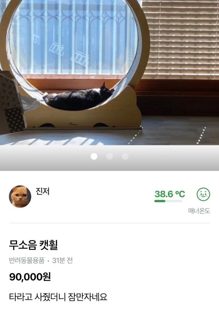 무소음 캣휠 