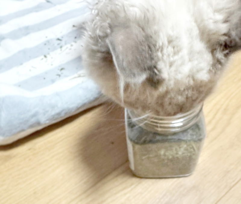 KakaoTalk_20241217_170019655.jpg