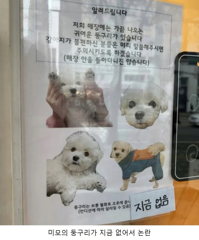 매장 내 강아지 논란