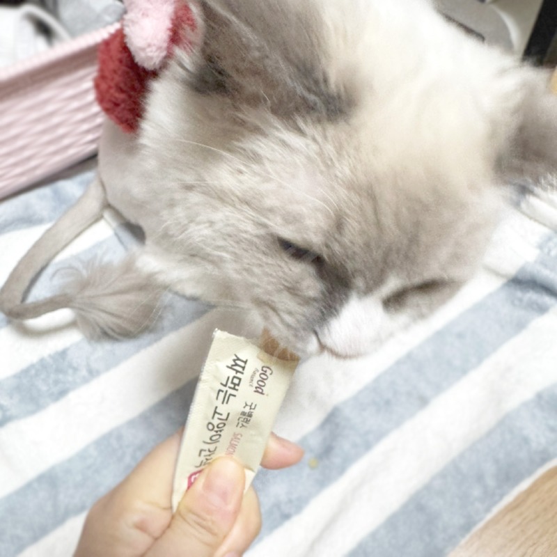KakaoTalk_20241217_170019655_09.jpg