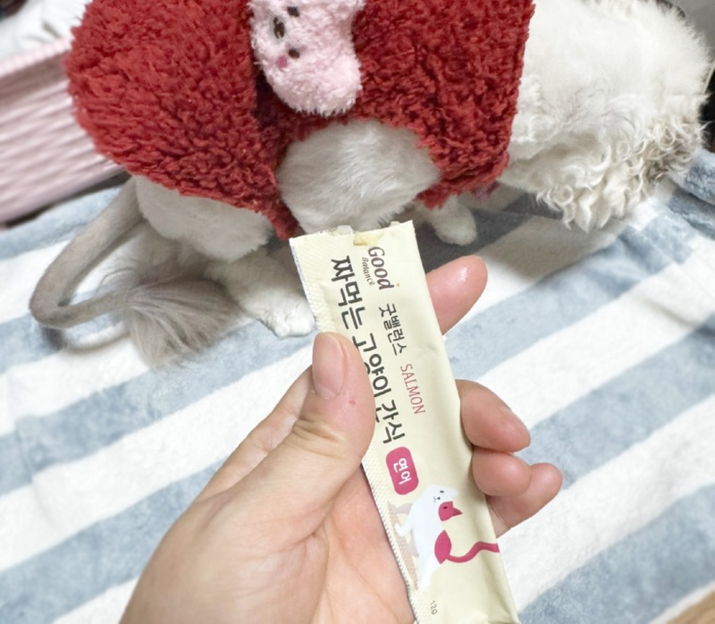 KakaoTalk_20241217_170019655_08.jpg