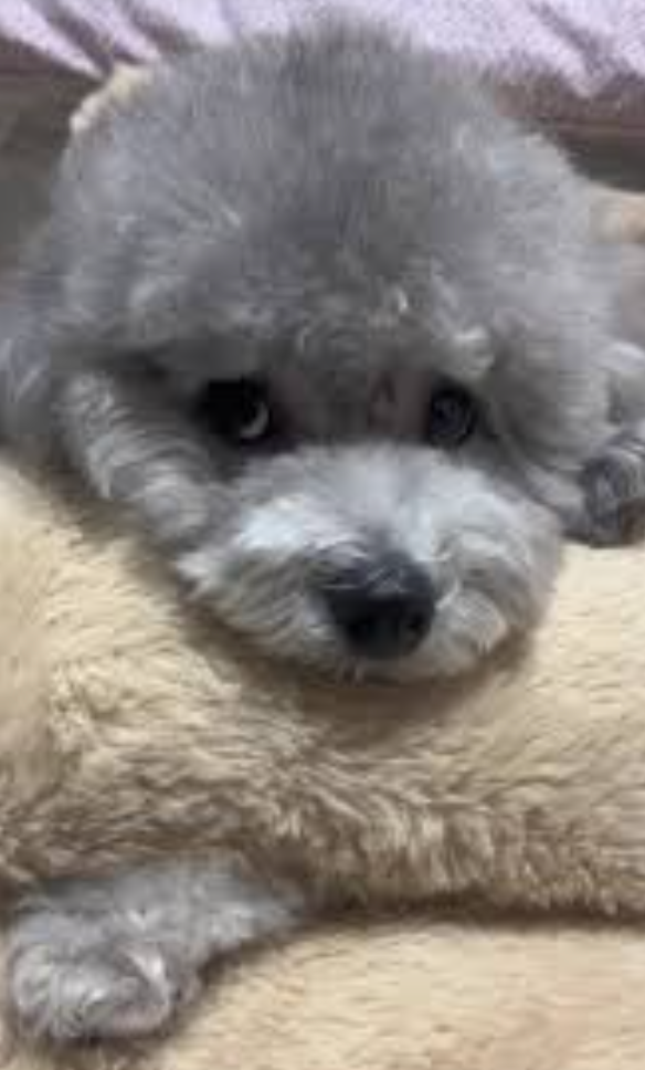어딜봐 설이야 ㅎㅎ
