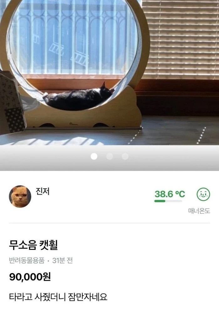 무소음 캣휠