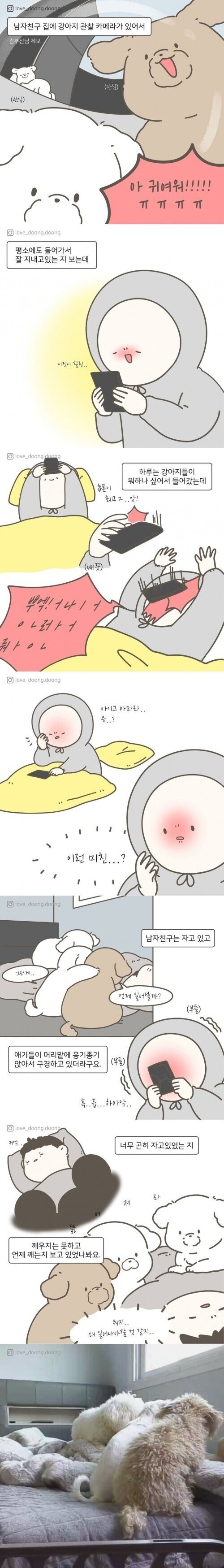 남자친구네 강아지 관찰 카메라.manhwa