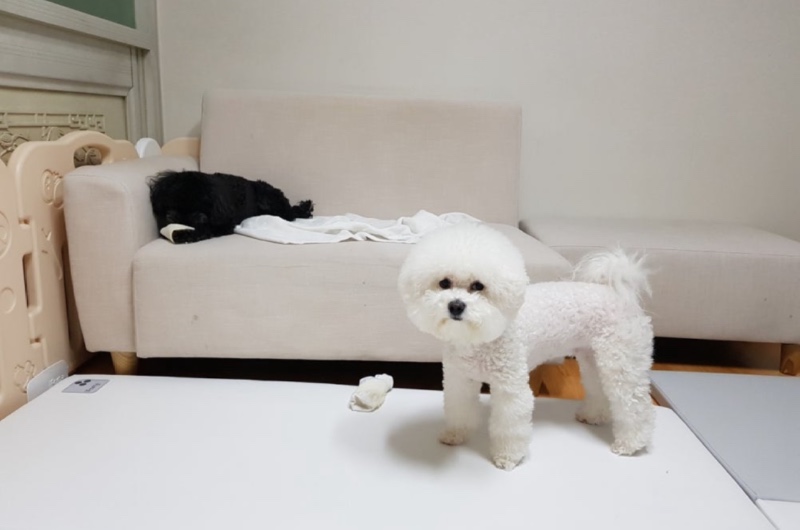 일상 