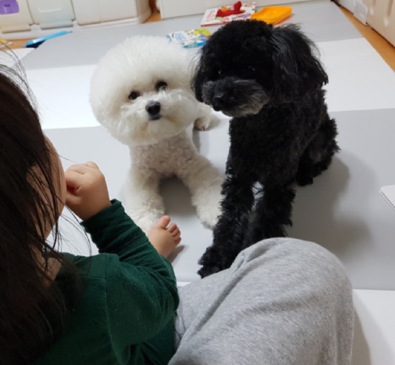일상 