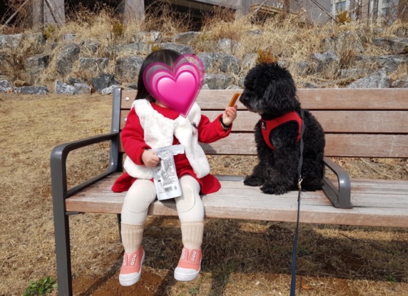 일상 ❤️