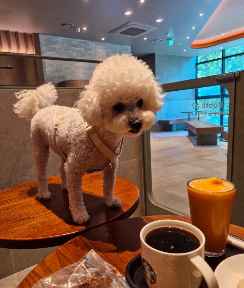 스타벅스 북한강점