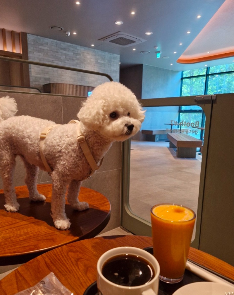 스타벅스 북한강점