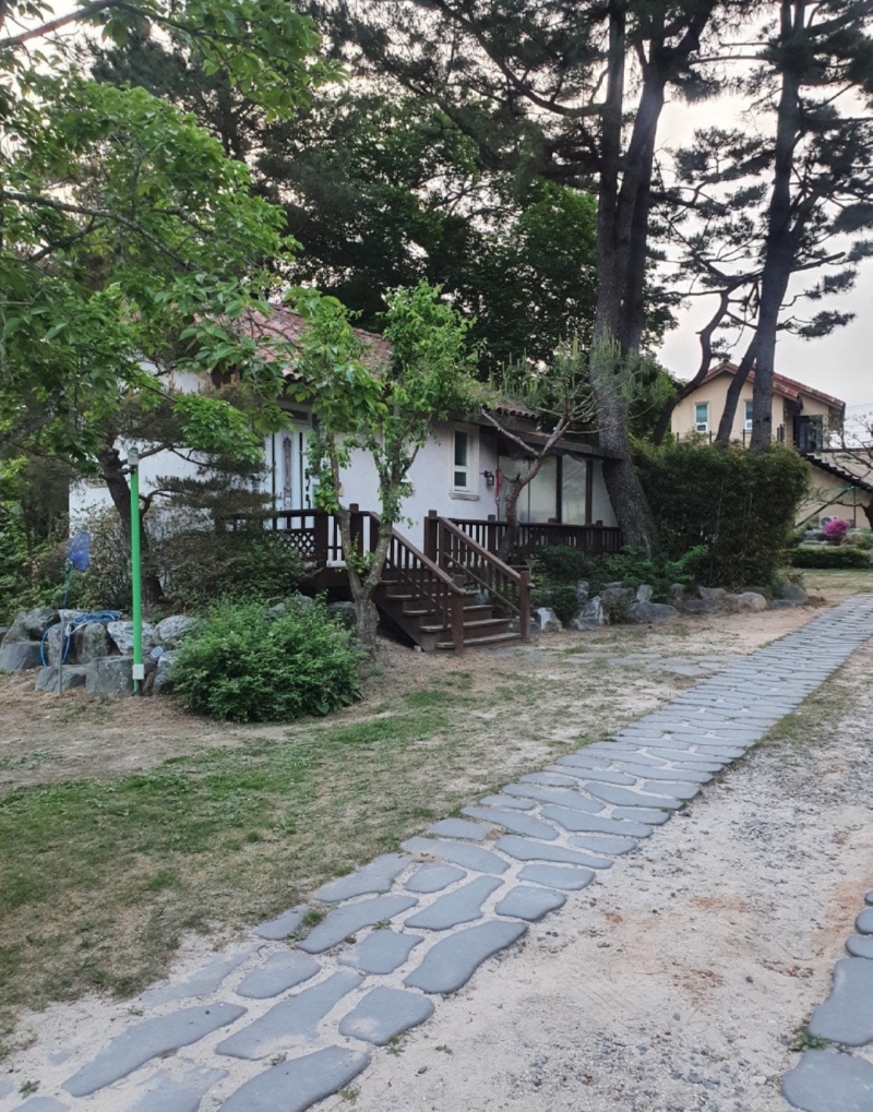 참맑은아침애견펜션
