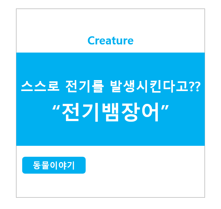스스로 전기를 발생시킨다고?? 전기뱀장어