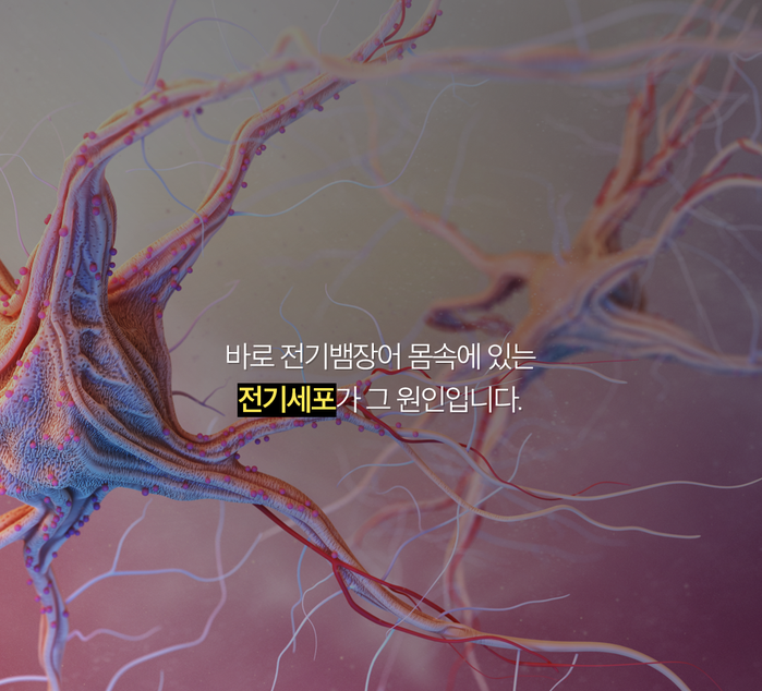 스스로 전기를 발생시킨다고?? 전기뱀장어