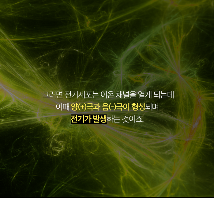 스스로 전기를 발생시킨다고?? 전기뱀장어