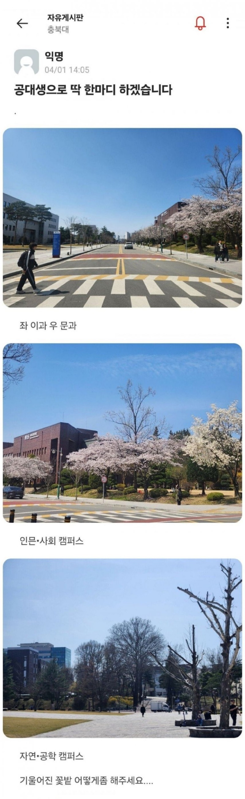 대학교의 기울어진 운동장 