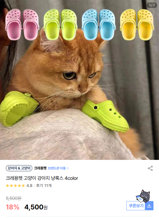 20241223104359.png