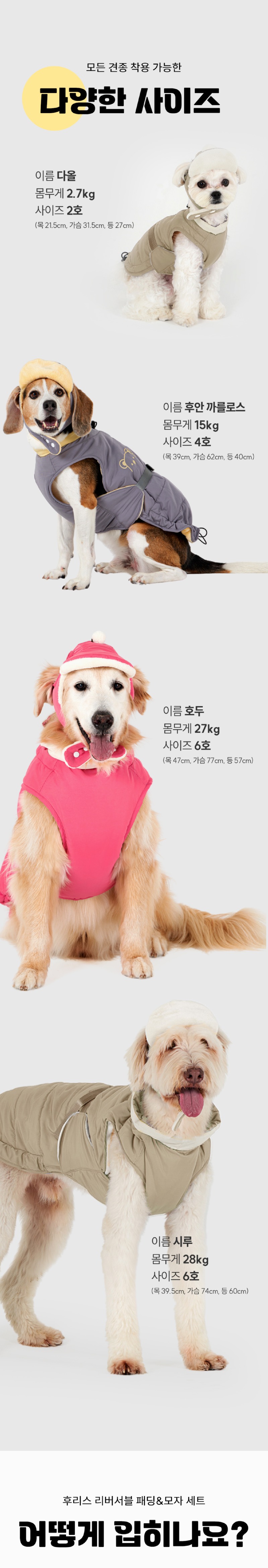 a54f8d61-1775-4fe3-af4f-36caa7d0dfe6.jpg
