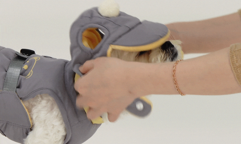 e20c9072-a45a-4e61-b3ec-5237ee793010.gif