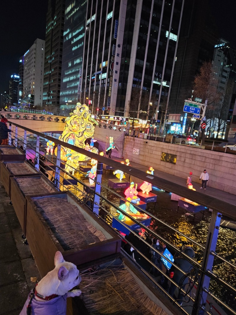 청계광장 빛초롱축제 산책 
