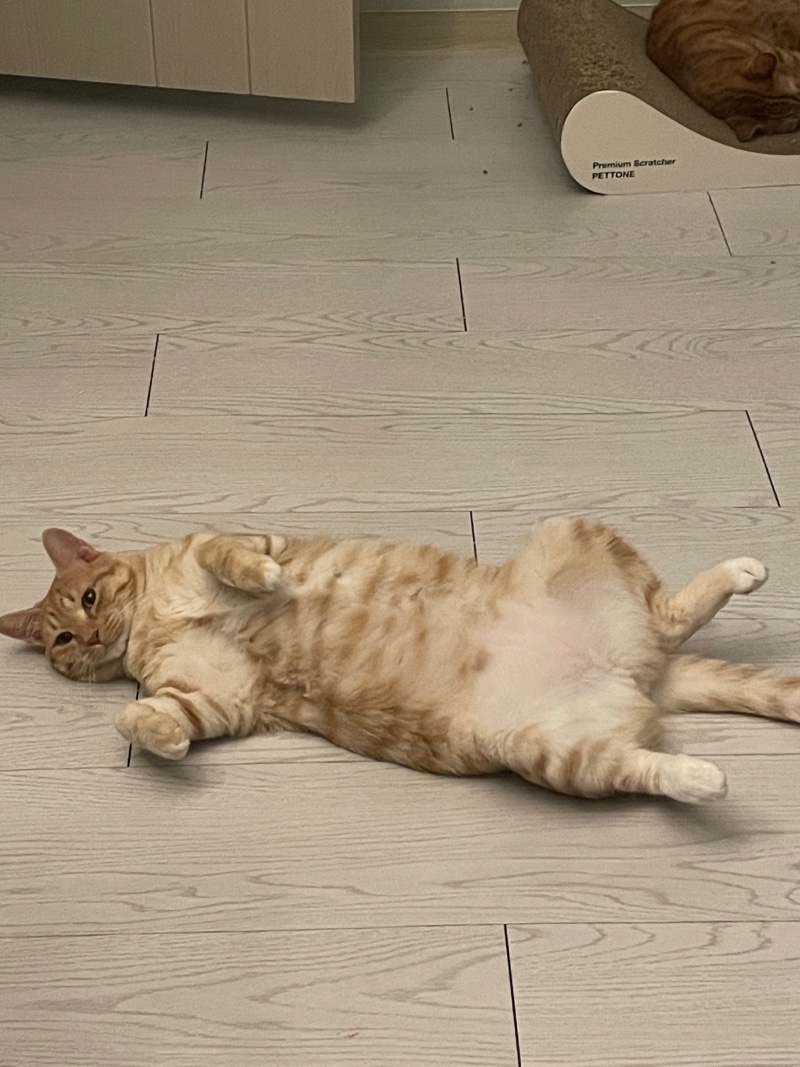 온돌을 키면