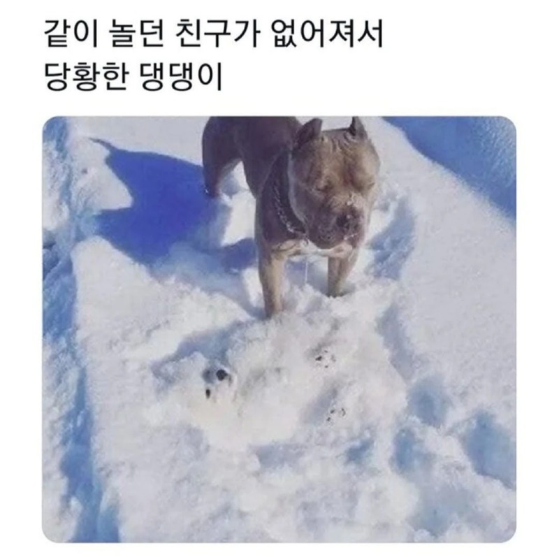 같이 놀던 친구가 어디갔지??