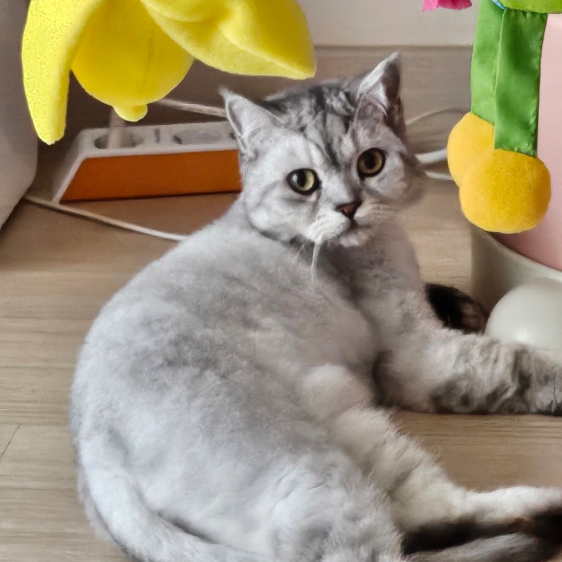 꿀주말