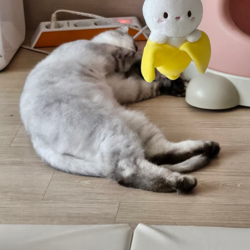 꿀주말