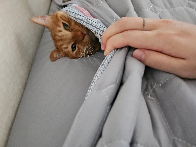 헬요일 ㅠㅠㅠㅠ