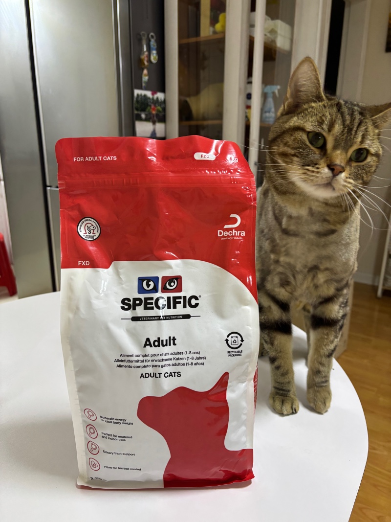 IMG_2716.jpeg